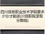 四川信息职业技术学院要多少分才能进(川信职院录取分数线)