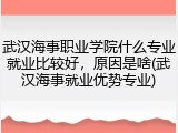 武汉海事职业学院什么专业就业比较好，原因是啥(武汉海事就业优势专业)