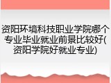 资阳环境科技职业学院哪个专业毕业就业前景比较好(资阳学院好就业专业)