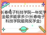长春电子科技学院一年奖学金最多能拿多少(长春电子科技学院最高奖学金)