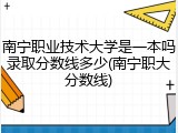 南宁职业技术大学是一本吗录取分数线多少(南宁职大分数线)