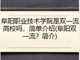 阜阳职业技术学院是双一流高校吗，简单介绍(阜阳双一流？简介)
