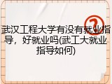 武汉工程大学有没有就业指导，好就业吗(武工大就业指导如何)