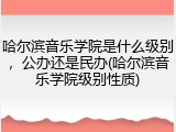 哈尔滨音乐学院是什么级别，公办还是民办(哈尔滨音乐学院级别性质)