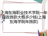 上海东海职业技术学院一年财政拨款大概多少钱(上海东海学院年拨款)