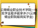 云南锡业职业技术学院一年奖学金最多能拿多少(云南锡业职院最高奖学金)