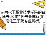 湖南化工职业技术学院的普通专业和特色专业详解(湖南化工职院专业解析)