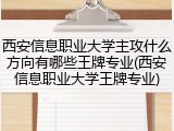 西安信息职业大学主攻什么方向有哪些王牌专业(西安信息职业大学王牌专业)