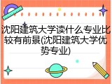 沈阳建筑大学读什么专业比较有前景(沈阳建筑大学优势专业)