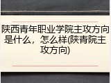 陕西青年职业学院主攻方向是什么，怎么样(陕青院主攻方向)