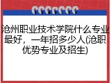 沧州职业技术学院什么专业最好，一年招多少人(沧职优势专业及招生)