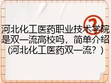 河北化工医药职业技术学院是双一流高校吗，简单介绍(河北化工医药双一流？)
