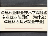 福建林业职业技术学院哪些专业就业前景好，为什么(福建林职院好就业专业)