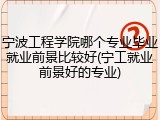 宁波工程学院哪个专业毕业就业前景比较好(宁工就业前景好的专业)