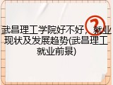 武昌理工学院好不好，就业现状及发展趋势(武昌理工就业前景)