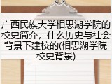 广西民族大学相思湖学院的校史简介，什么历史与社会背景下建校的(相思湖学院校史背景)