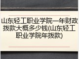 山东轻工职业学院一年财政拨款大概多少钱(山东轻工职业学院年拨款)