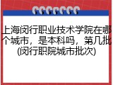 上海闵行职业技术学院在哪个城市，是本科吗，第几批(闵行职院城市批次)