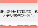 鞍山职业技术学院是双一流大学吗?(鞍山双一流？)