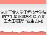 湖北工业大学工程技术学院的学生毕业都怎么样了(湖工大工程院毕业生去向)