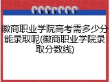 徽商职业学院高考需多少分能录取呢(徽商职业学院录取分数线)