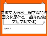 安徽文达信息工程学院的校园文化是什么，简介(安徽文达学院文化)
