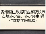 贵州铜仁数据职业学院校园占地多少亩，多少师生(铜仁数据学院规模)