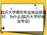 临沂大学哪些专业就业前景好，为什么(临沂大学好就业专业)
