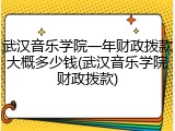 武汉音乐学院一年财政拨款大概多少钱(武汉音乐学院财政拨款)