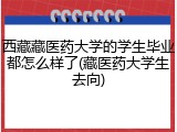 西藏藏医药大学的学生毕业都怎么样了(藏医药大学生去向)