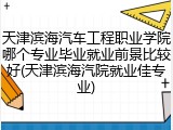 天津滨海汽车工程职业学院哪个专业毕业就业前景比较好(天津滨海汽院就业佳专业)