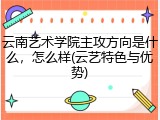 云南艺术学院主攻方向是什么，怎么样(云艺特色与优势)