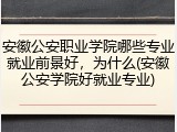 安徽公安职业学院哪些专业就业前景好，为什么(安徽公安学院好就业专业)