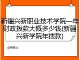 新疆兴新职业技术学院一年财政拨款大概多少钱(新疆兴新学院年拨款)