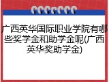 广西英华国际职业学院有哪些奖学金和助学金呢(广西英华奖助学金)