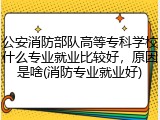 公安消防部队高等专科学校什么专业就业比较好，原因是啥(消防专业就业好)
