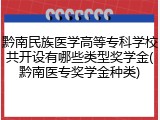 黔南民族医学高等专科学校共开设有哪些类型奖学金(黔南医专奖学金种类)