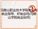马鞍山职业技术学院有没有就业指导，好就业吗(马鞍山学院就业如何)