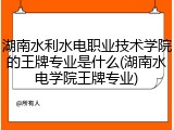 湖南水利水电职业技术学院的王牌专业是什么(湖南水电学院王牌专业)