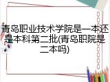 青岛职业技术学院是一本还是本科第二批(青岛职院是二本吗)