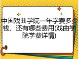 中国戏曲学院一年学费多少钱，还有哪些费用(戏曲学院学费详情)