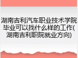 湖南吉利汽车职业技术学院毕业可以找什么样的工作(湖南吉利职院就业方向)
