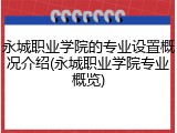 永城职业学院的专业设置概况介绍(永城职业学院专业概览)