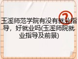 玉溪师范学院有没有就业指导，好就业吗(玉溪师院就业指导及前景)