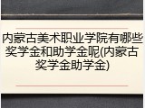 内蒙古美术职业学院有哪些奖学金和助学金呢(内蒙古奖学金助学金)