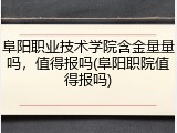 阜阳职业技术学院含金量量吗，值得报吗(阜阳职院值得报吗)