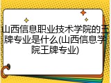 山西信息职业技术学院的王牌专业是什么(山西信息学院王牌专业)