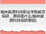 榆林能源科技职业学院能否保研，原因是什么(榆林能源科技保研原因)