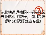 湖北铁道运输职业学院什么专业就业比较好，原因是啥(湖北铁院好就业专业)
