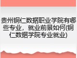 贵州铜仁数据职业学院有哪些专业，就业前景如何(铜仁数据学院专业就业)